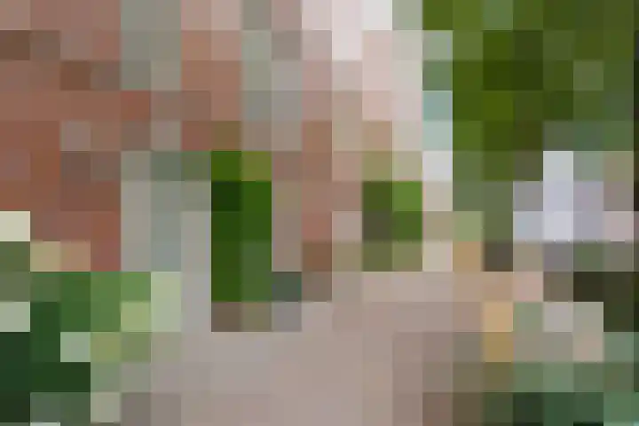 Roentgenstraat 81 Rotterdam thumbnail 26