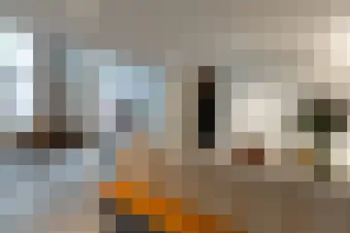 Roentgenstraat 95 Rotterdam thumbnail 13