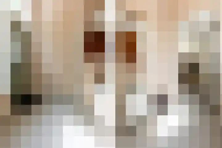 Roentgenstraat 95 Rotterdam thumbnail 4