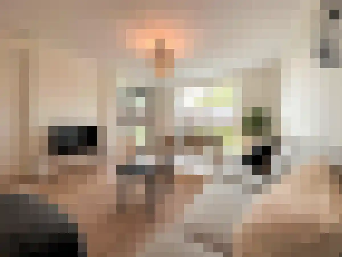 Roentgenstraat Rotterdam thumbnail 5