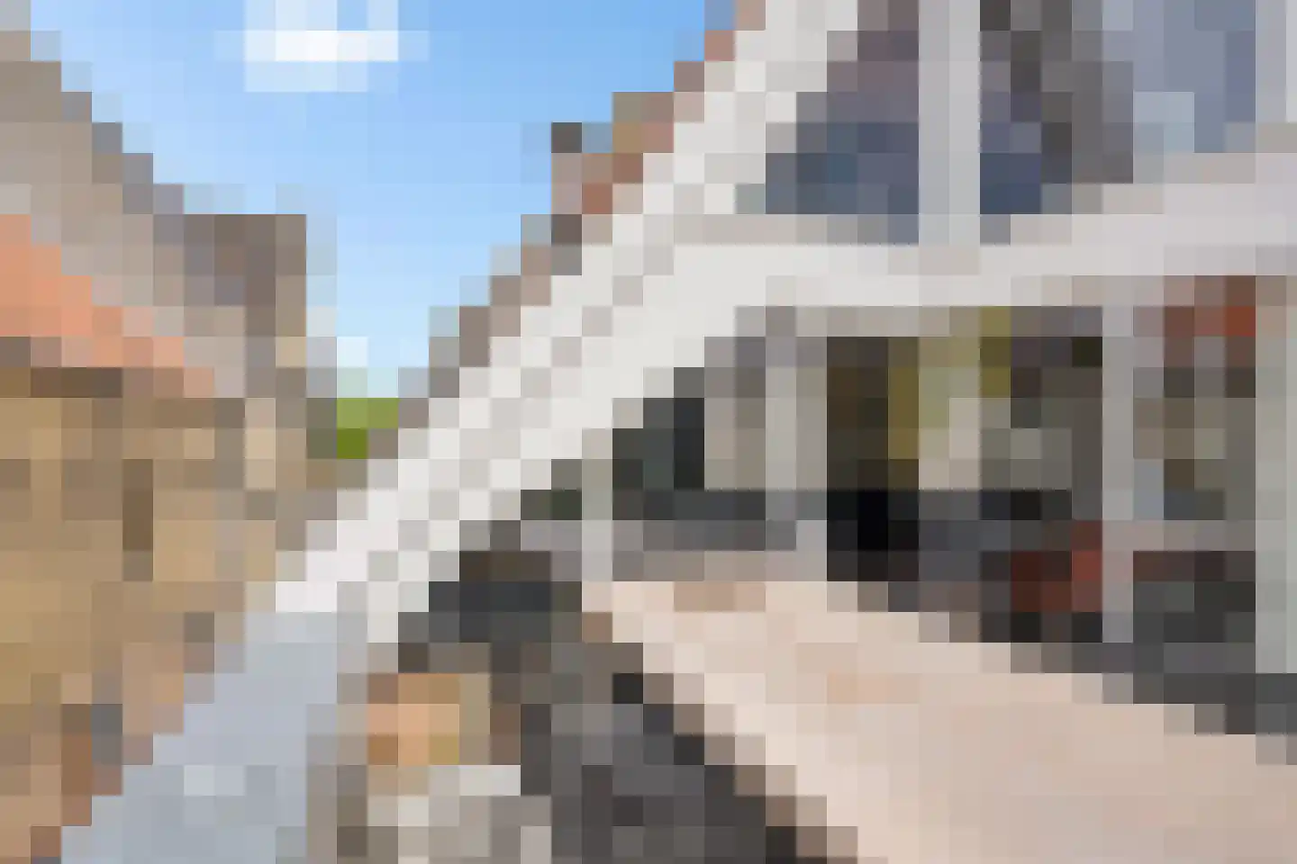 Roeperssteeg 7 Harlingen thumbnail 19