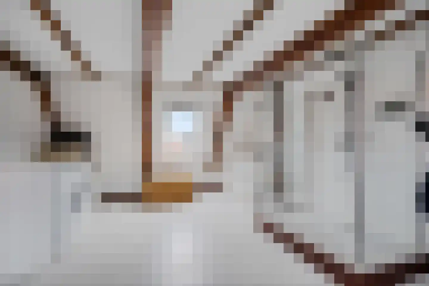 Roeperssteeg 7 Harlingen thumbnail 27