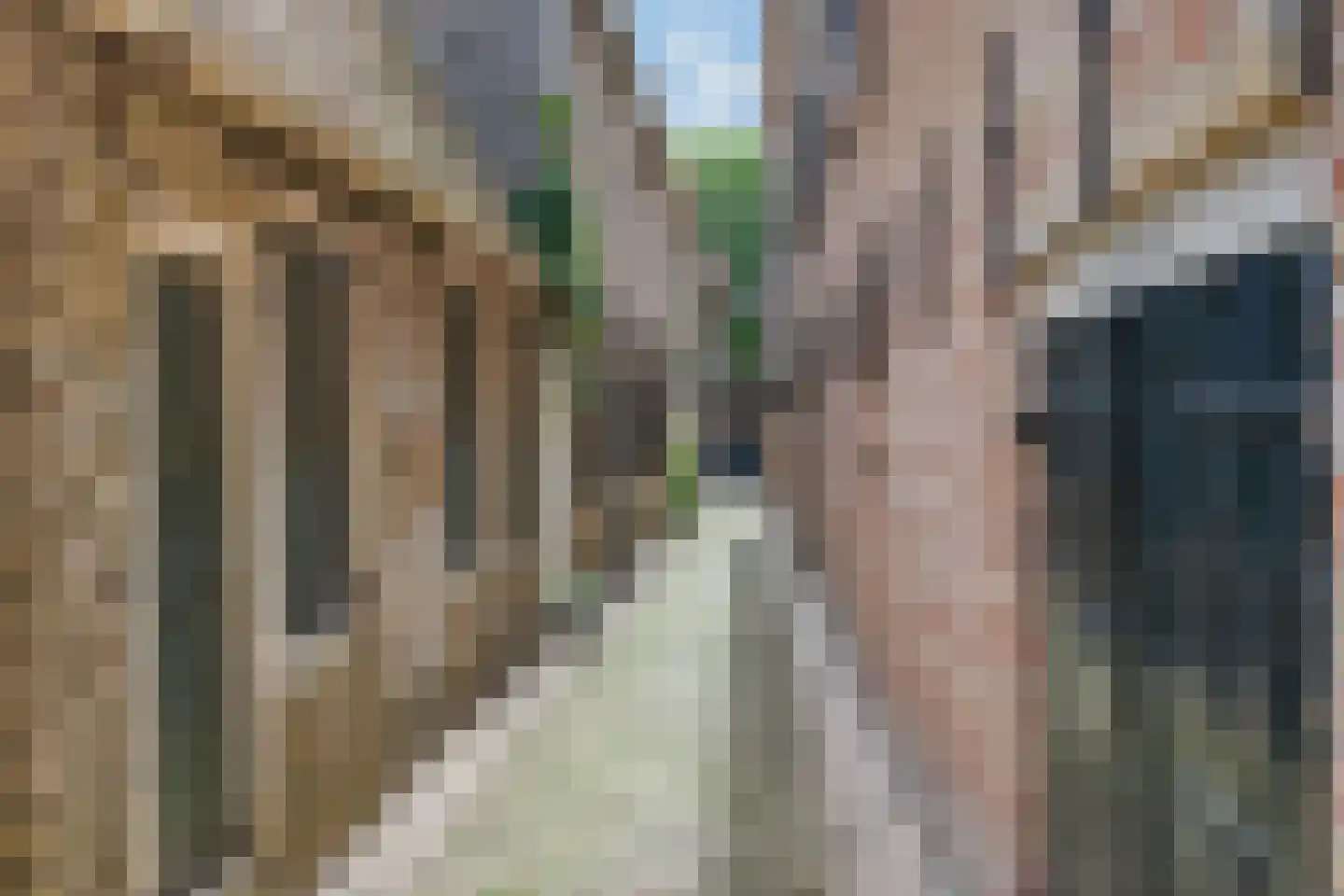 Roeperssteeg 7 Harlingen thumbnail 36