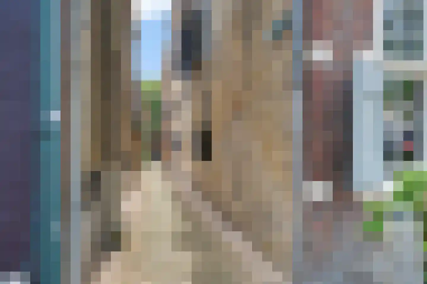 Roeperssteeg 7 Harlingen thumbnail 37