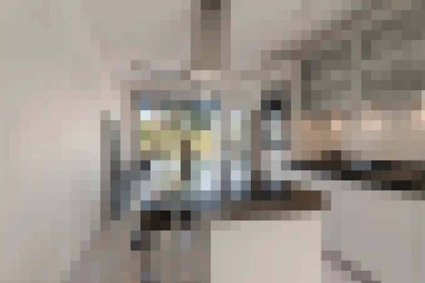 Roer 16 Almere thumbnail 21