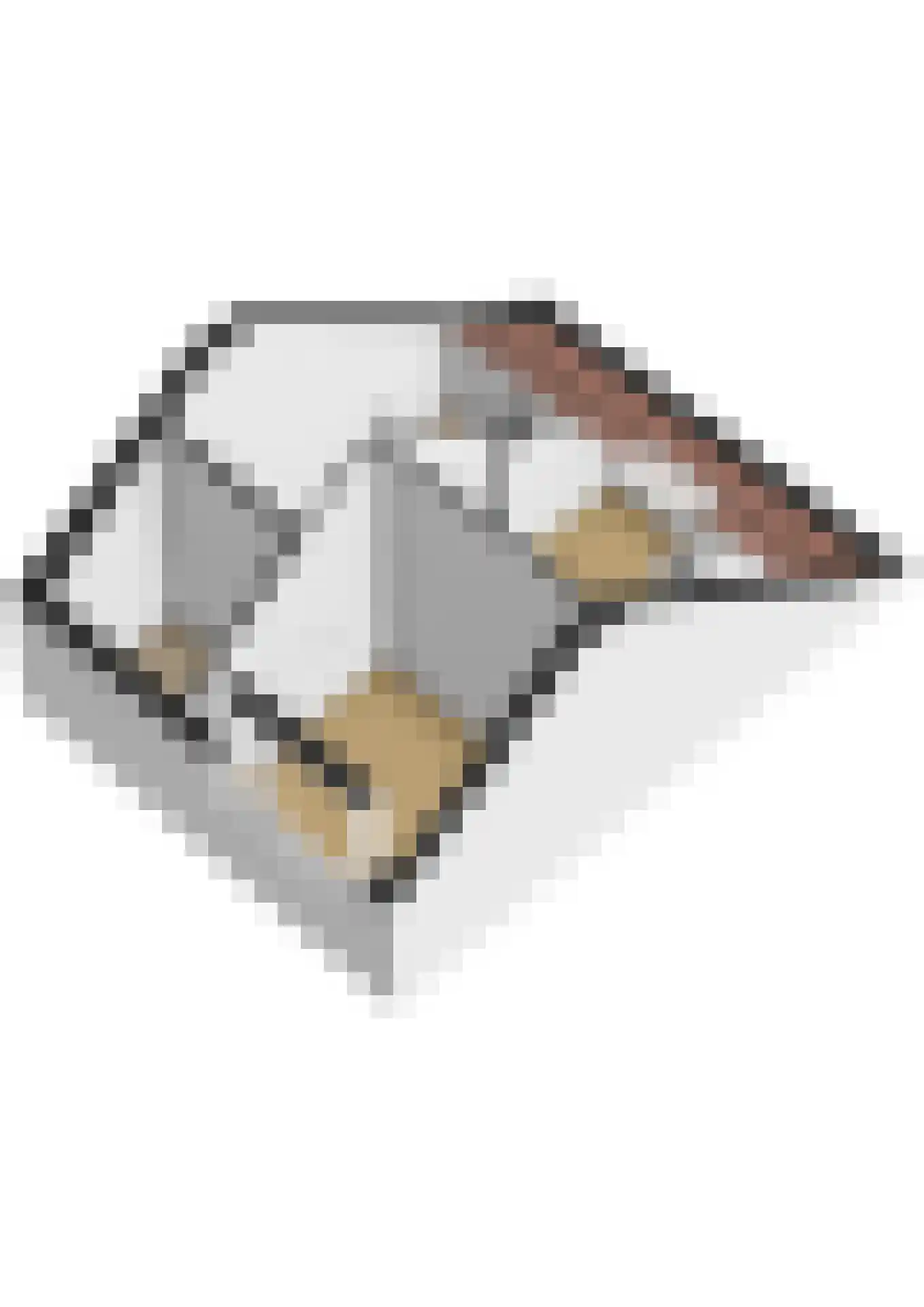 Roer 16 Almere thumbnail 69