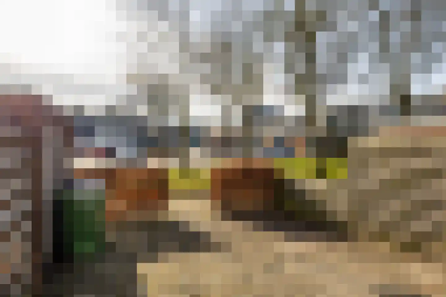 Roer 21 Groningen thumbnail 12