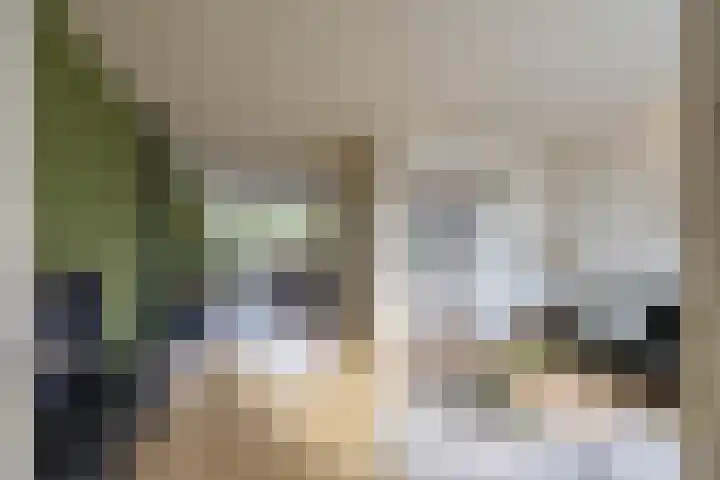 Roer 21 Groningen thumbnail 16