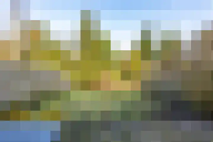 Roer 21 Groningen foto 3