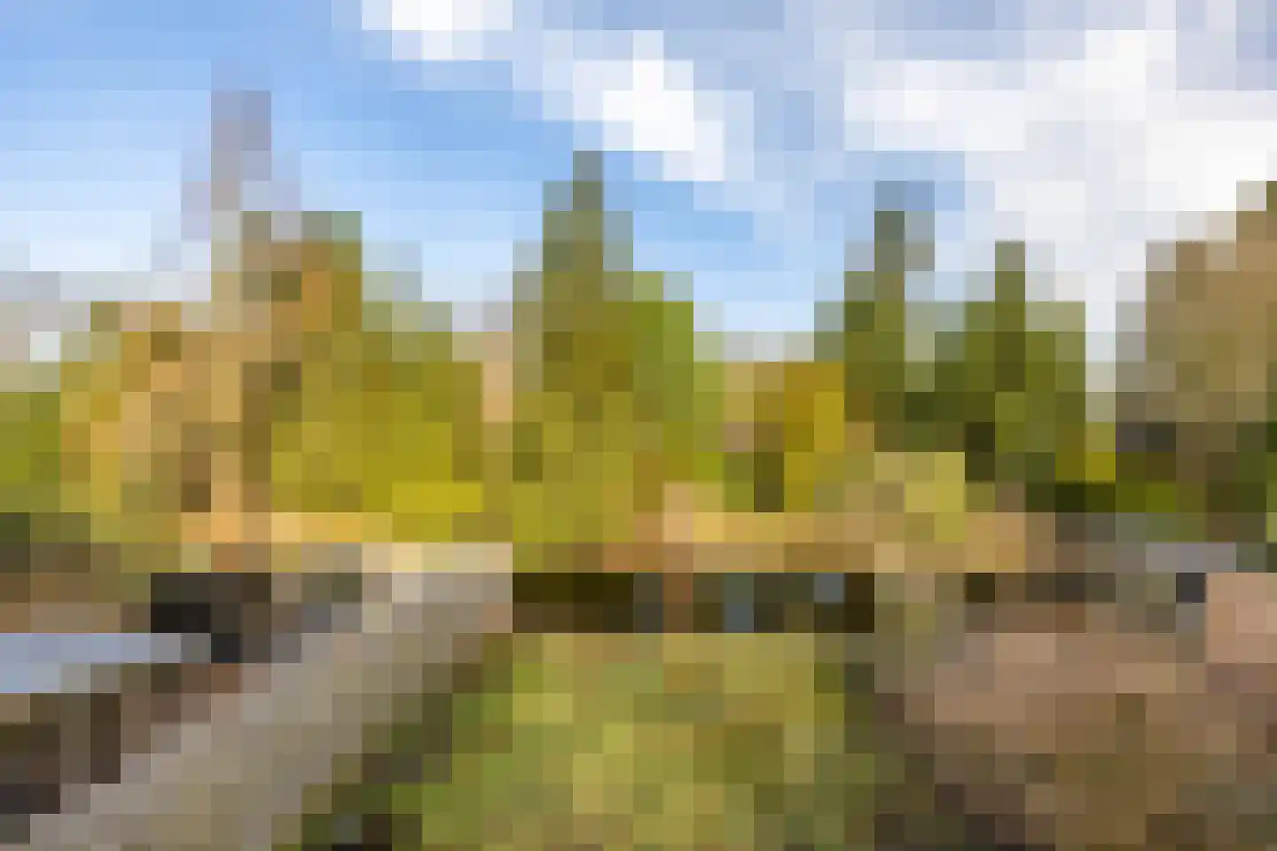 Roer 21 Groningen thumbnail 32