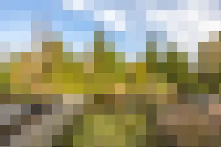 Roer 21 Groningen thumbnail 32
