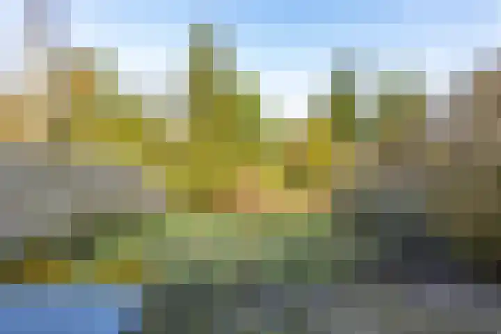 Roer 21 Groningen thumbnail 43