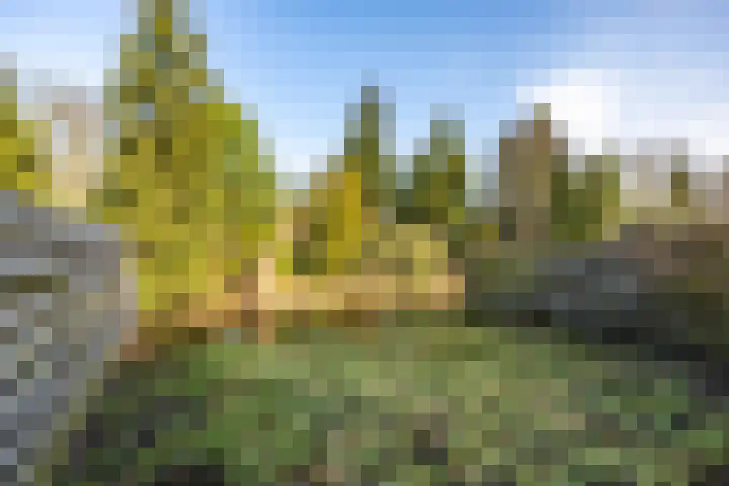 Roer 21 Groningen thumbnail 44