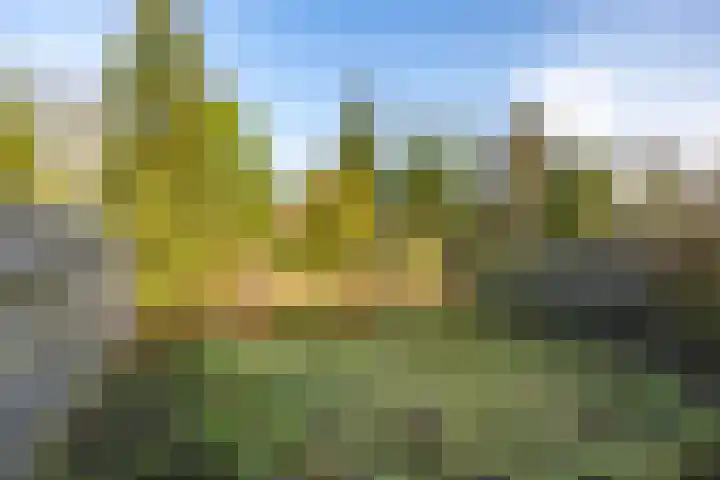 Roer 21 Groningen thumbnail 44