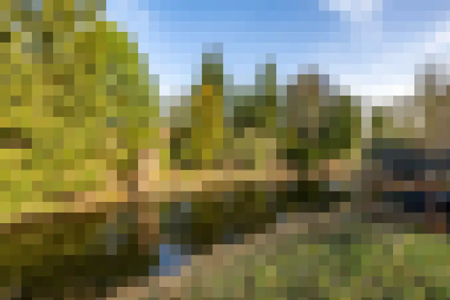 Roer 21 Groningen thumbnail 46