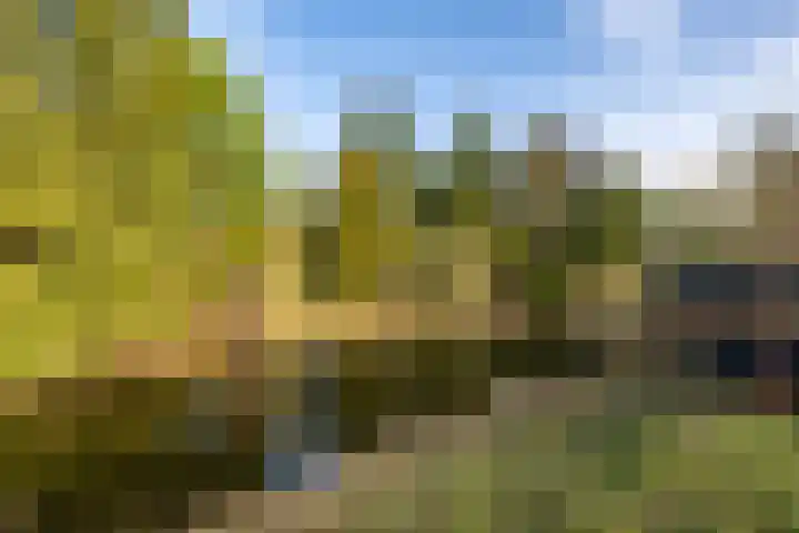 Roer 21 Groningen thumbnail 46
