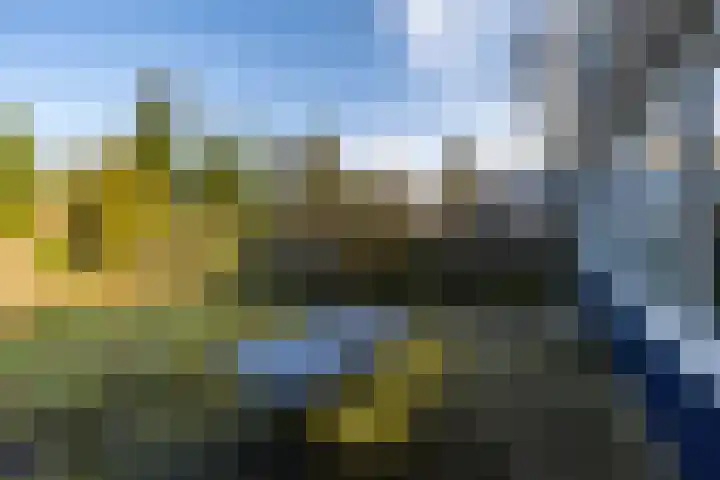 Roer 21 Groningen thumbnail 47