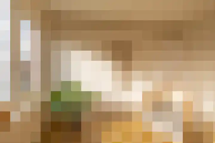 Roer 21 Groningen thumbnail 5