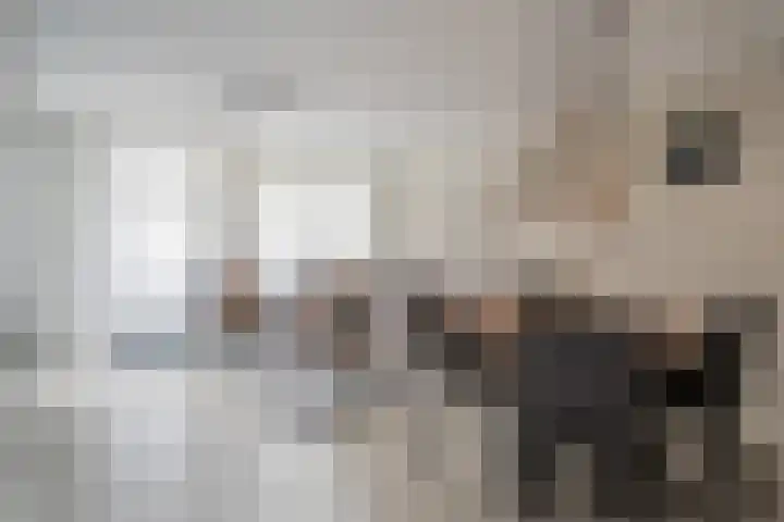 Roer 268 Groningen thumbnail 11
