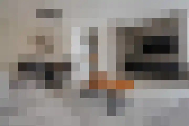 Roer 268 Groningen thumbnail 12