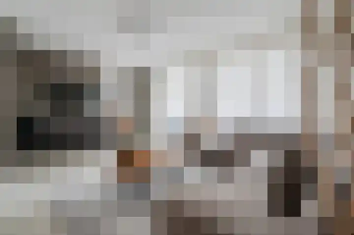 Roer 268 Groningen thumbnail 13