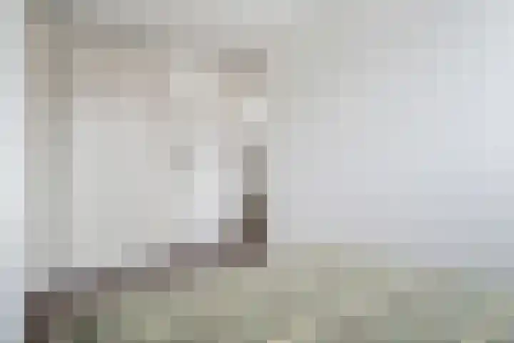 Roer 268 Groningen thumbnail 23