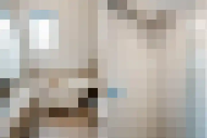 Roer 268 Groningen thumbnail 28