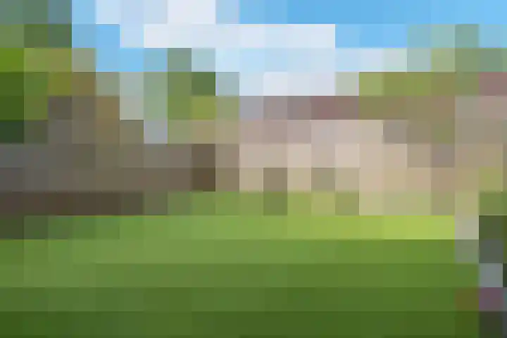 Roer 268 Groningen thumbnail 36