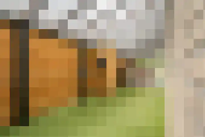 Roer 268 Groningen thumbnail 39