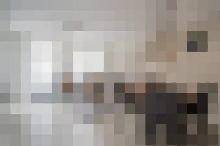 Roer 268 Groningen thumbnail 4