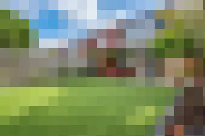 Roer 268 Groningen thumbnail 45