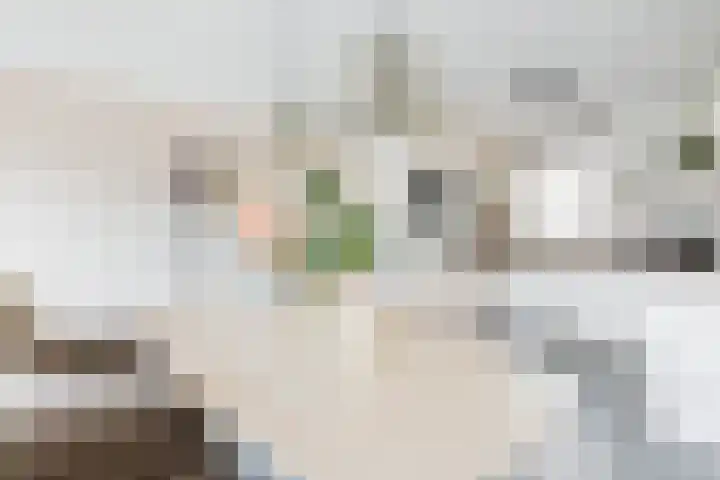 Roer 272 Groningen thumbnail 18
