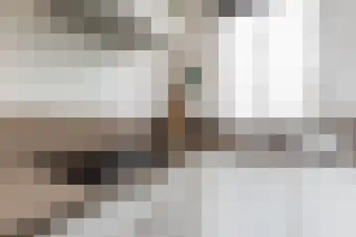 Roer 272 Groningen thumbnail 20
