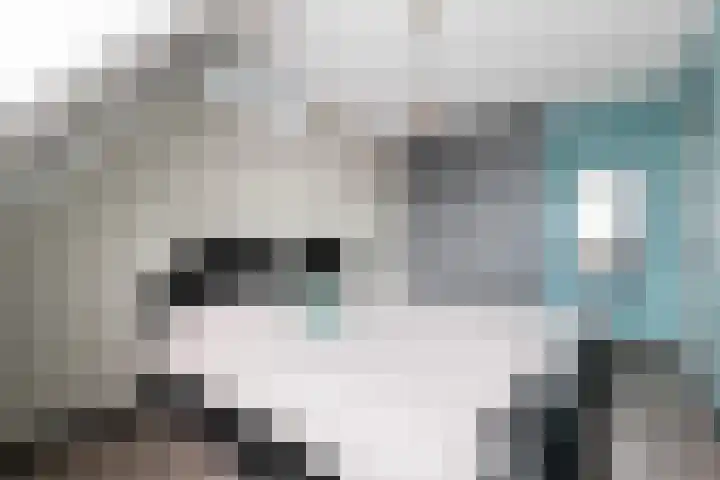 Roer 272 Groningen thumbnail 24