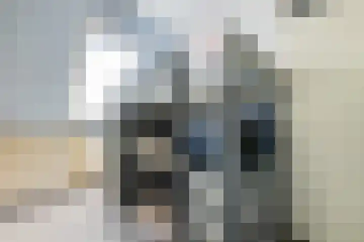 Roer 272 Groningen thumbnail 28