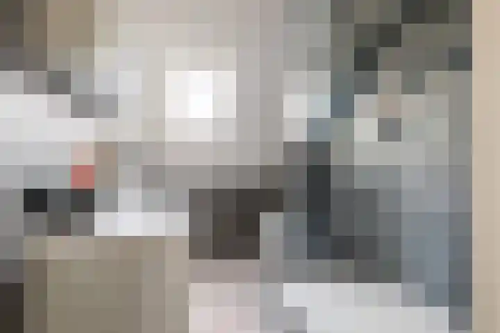Roer 272 Groningen thumbnail 31