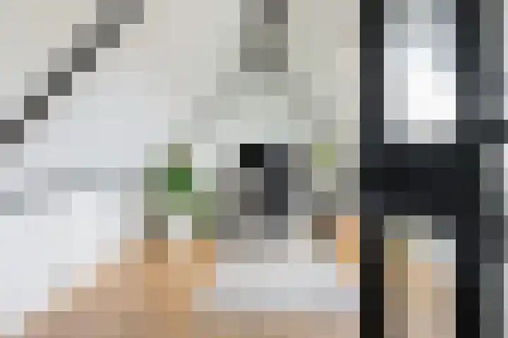 Roer 272 Groningen thumbnail 34
