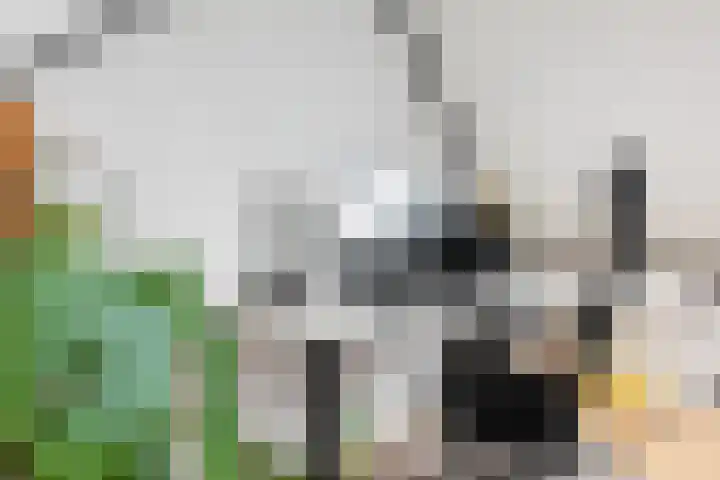 Roer 272 Groningen thumbnail 35