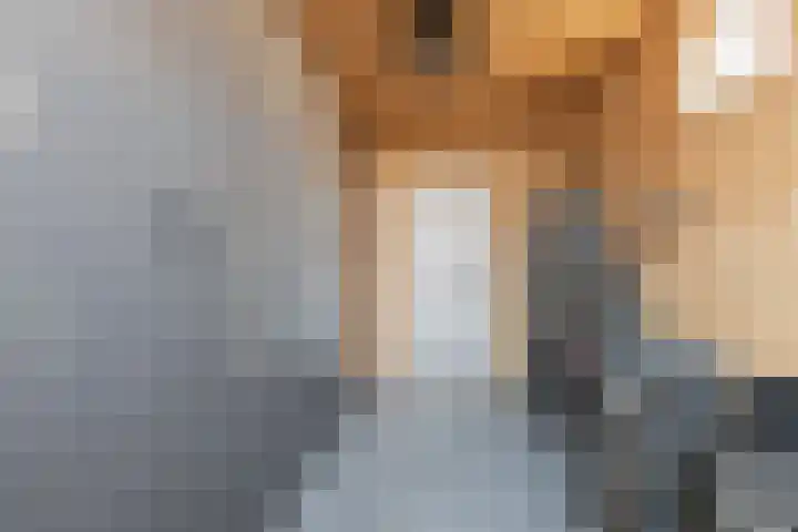 Roer 272 Groningen thumbnail 38