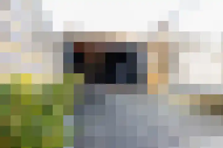 Roer 272 Groningen thumbnail 40