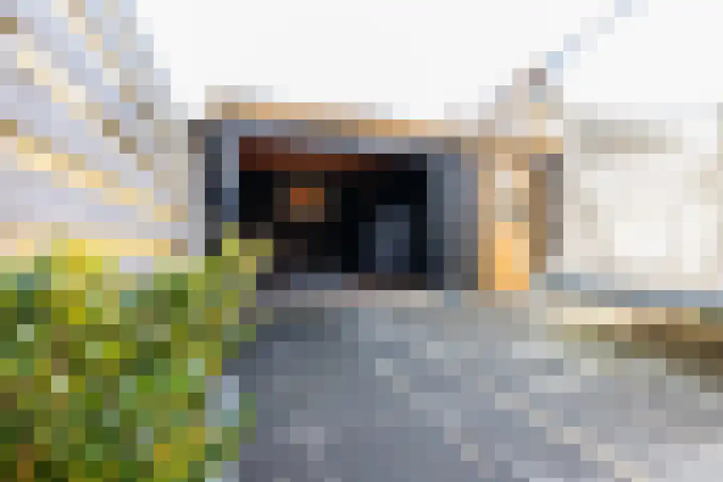 Roer 272 Groningen thumbnail 40