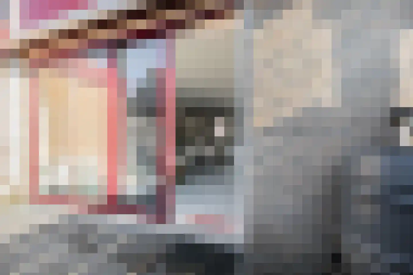 Roer 272 Groningen thumbnail 42