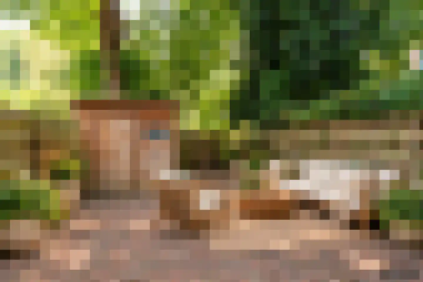 Roer 52 Groningen thumbnail 37