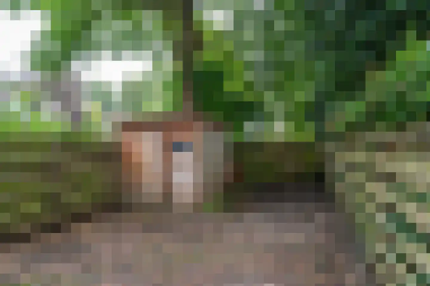 Roer 52 Groningen thumbnail 38