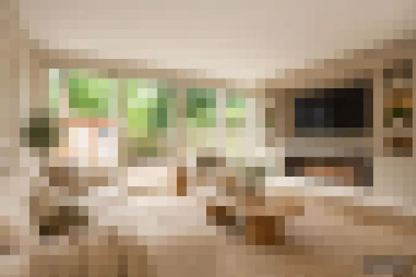 Roer 52 Groningen thumbnail 4