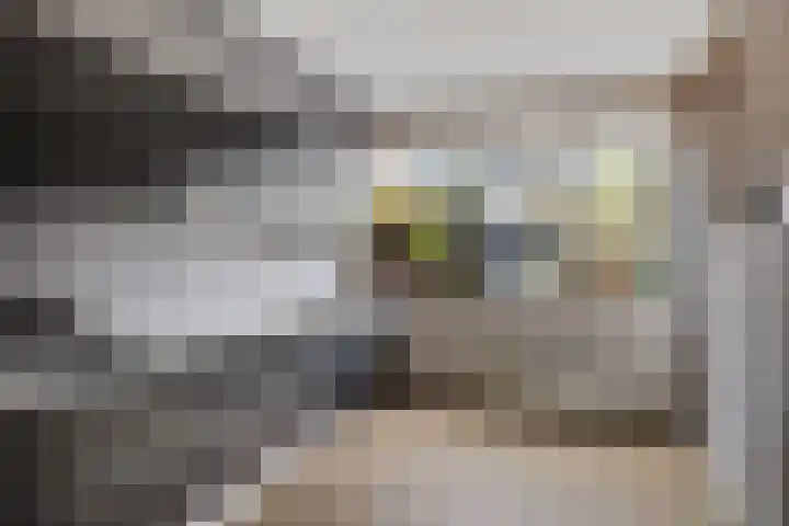 Roer 66 Groningen thumbnail 12