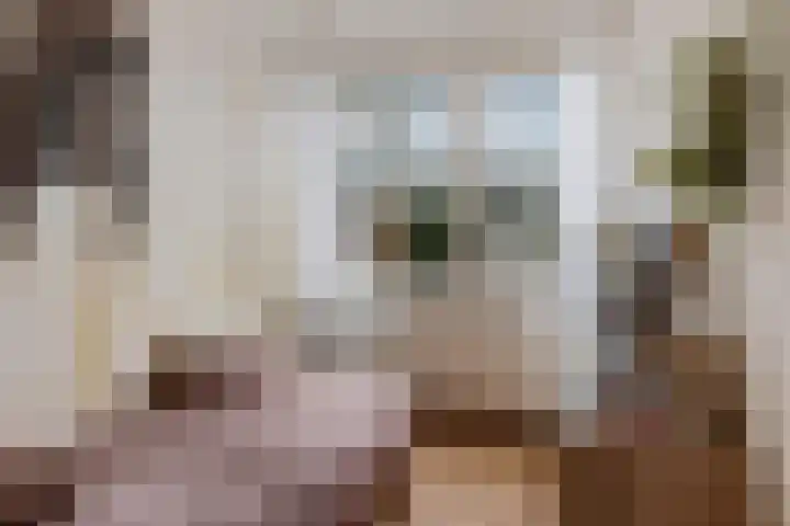 Roer 66 Groningen thumbnail 34
