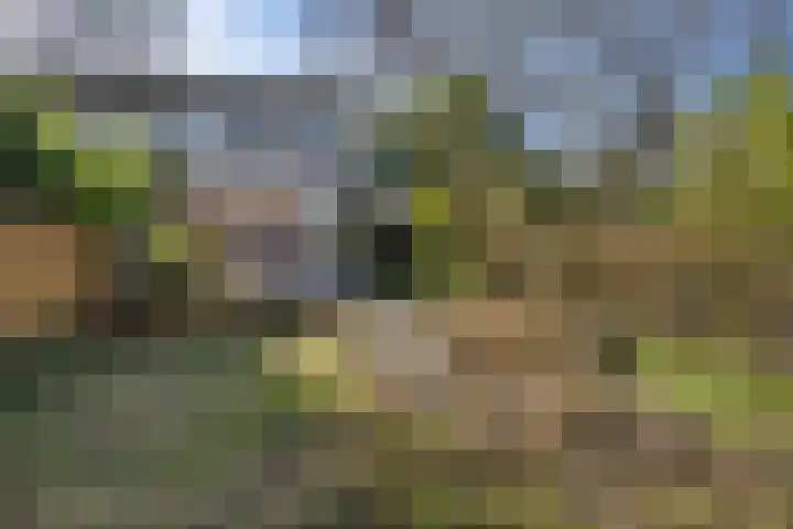 Roer 66 Groningen thumbnail 36