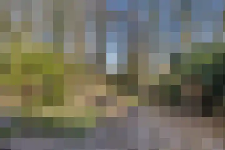 Roer 66 Groningen thumbnail 37