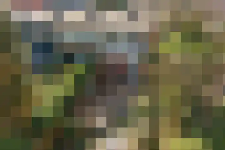 Roer 66 Groningen thumbnail 38